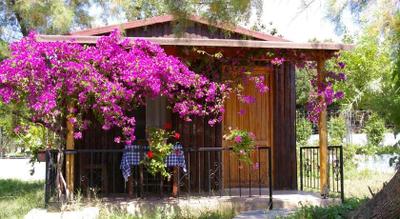Arriba Apart Restaurant