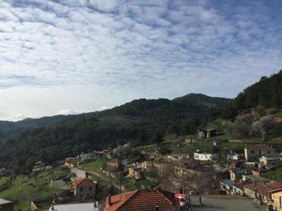 Qekik Boutique Kazdaglari
