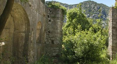 Olympos Tatilya Pansiyon