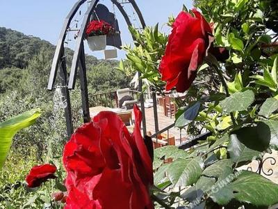 Casa Roja