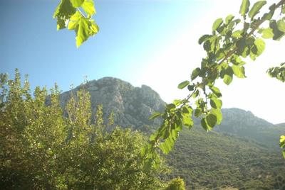 Tas Avlu Butik Otel