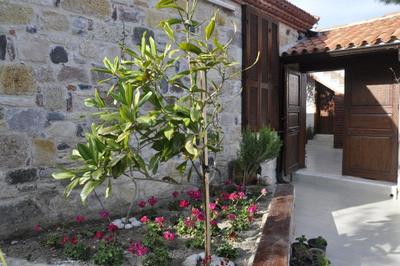 Tas Avlu Butik Otel