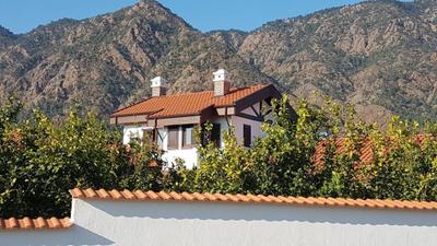 Mandarin Bed & Breakfast