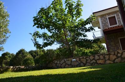 Mercan Pension