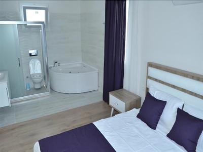 New Age Villa Lilya Hisar