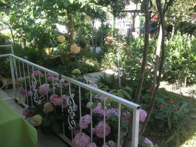 Yunus Apart Hotel