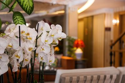 Almina Guest House