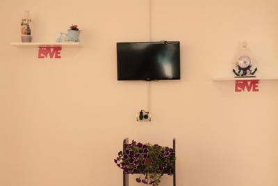 Deniz Apartment