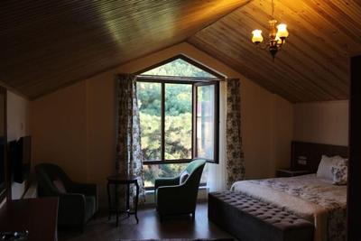 Yenice Göknar Hotel