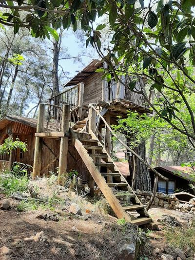 Altaris Bungalows Olympos