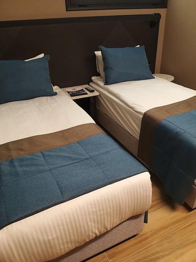 Hotel Rudis