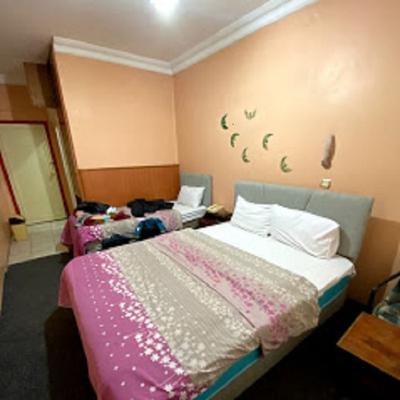Otel Yeni Cinar