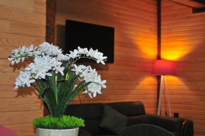 Dilek Suit & Cafe