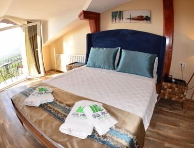 Villa Manco Butik Hotel