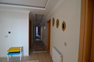 Elite Suite