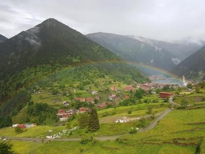 Sari Konak Apart Evleri