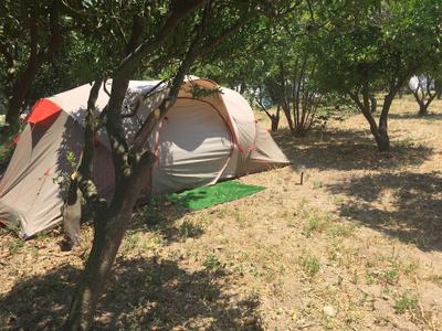 Bodrum Masali Camping