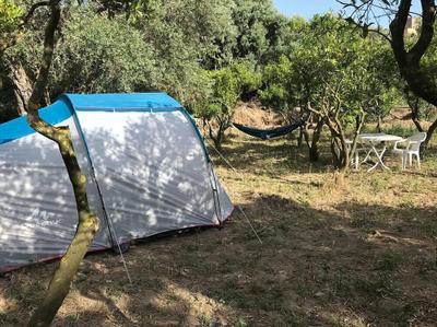 Bodrum Masali Camping