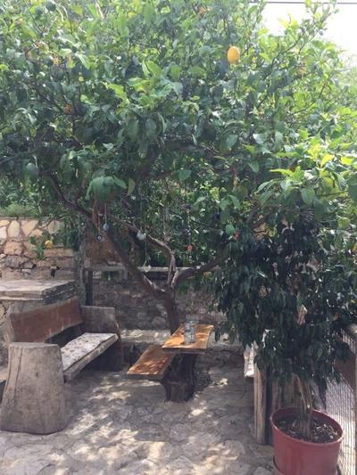 Eski Datça Pansiyon Cafe