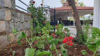 Villa Sardunya