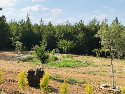 Baska Bir Yer Butik Otel