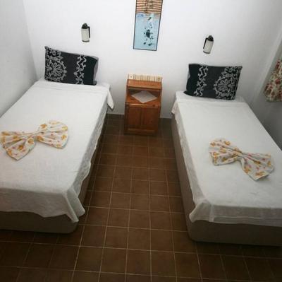 Sureyya Hotel