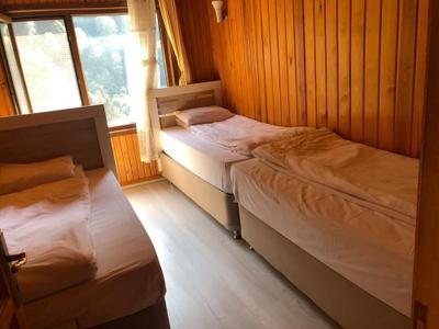 Ayder Ardic Apart Hotel