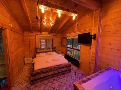 Ayder Ardic Apart Hotel