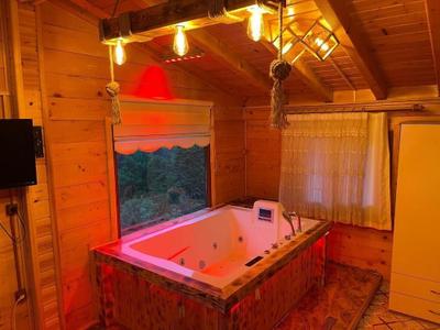 Ayder Ardic Apart Hotel