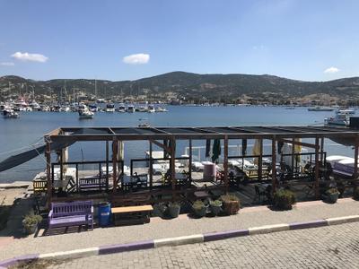 Vertigo Foca
