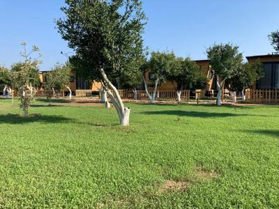 Gaia Tiny Houses