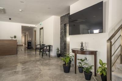 Olive Tree Hotel