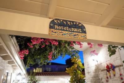 Müzeyyen Hanim Konagi Alacati
