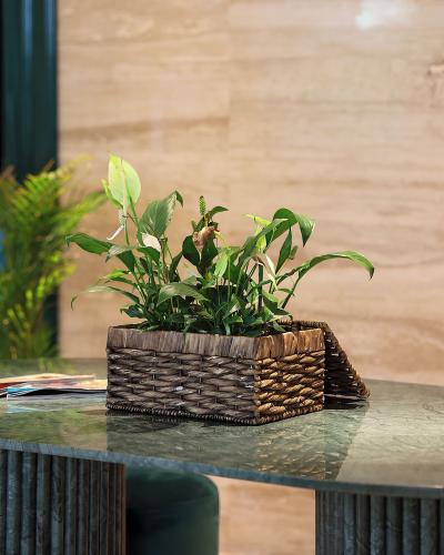 The Xon Hotel