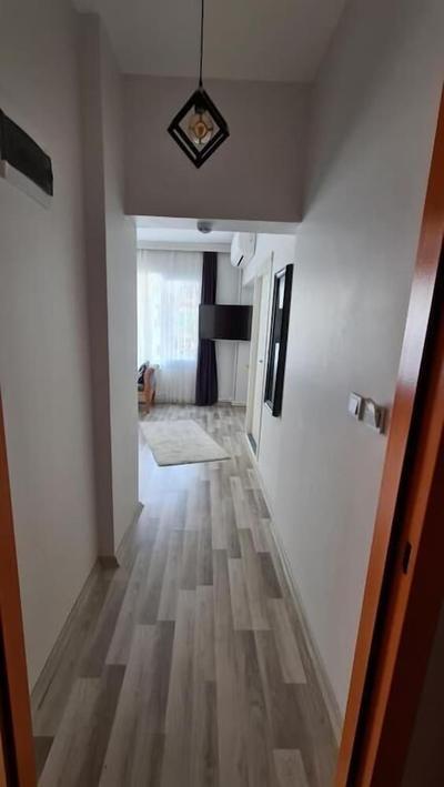 Social House