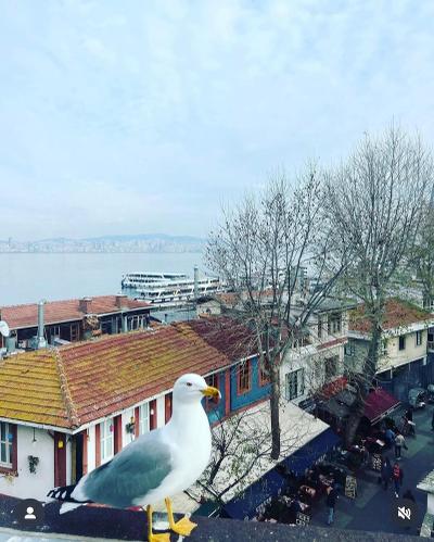 Hotel Carla