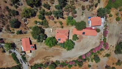 Iztuzu Homes
