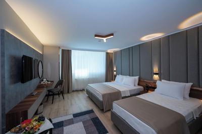 Vess Hotel & SPA