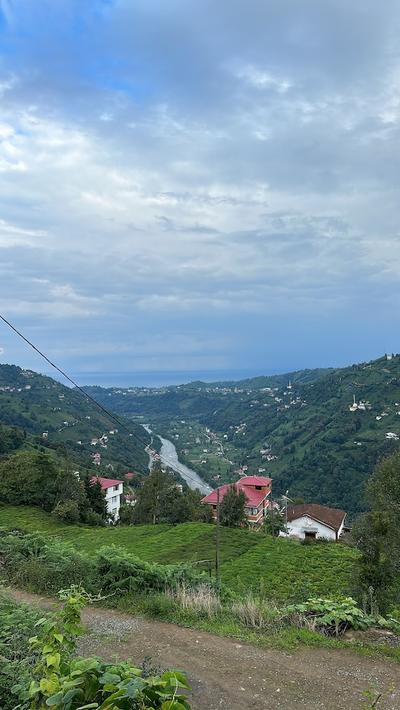 Kalivi Suit Bungalov