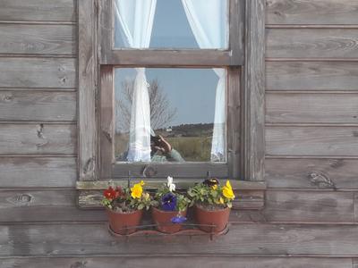 Vira Garden House