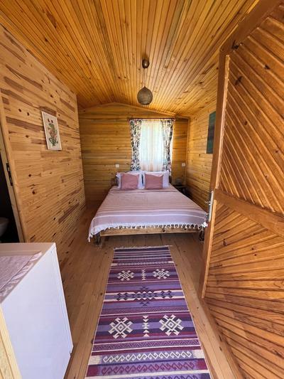 Afera Koy Evi