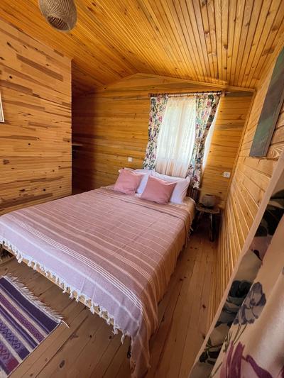 Afera Koy Evi