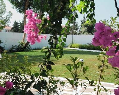 Gaea Hotel
