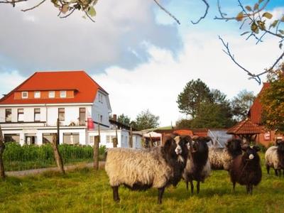 Cordes am Rosengarten