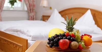 Hotel Robben