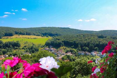 Panorama Hotel Heimbuchenthaler Hof