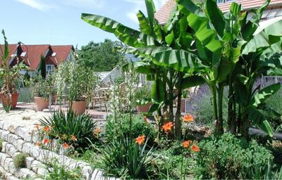 Hotel Volapük