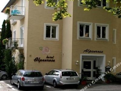 Alpenrose