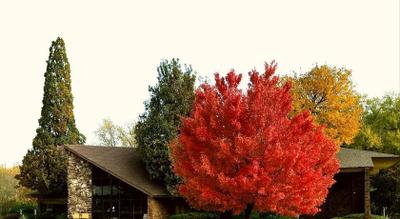 Riverbank Lodge