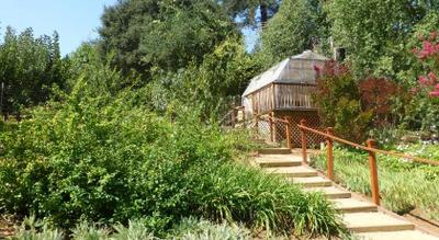 The Madrona